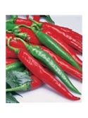 CCS PIMENTO PICANTE CAYENNE (MALAGUETA) (013093) - 089269