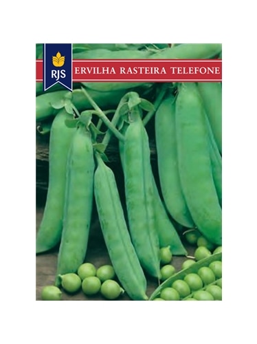 RJS ERVILHA RASTEIRA TELEFONE (103) - 001105