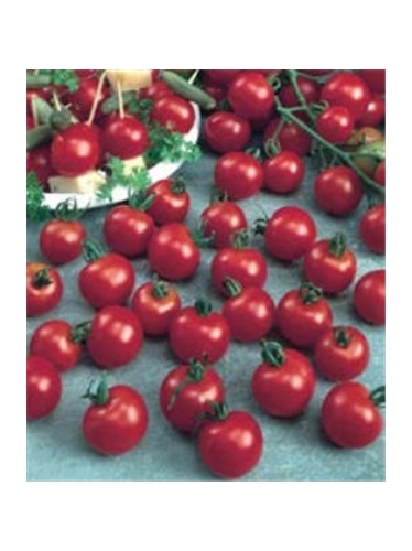 CCS TOMATE CEREJA (013189) - 089299