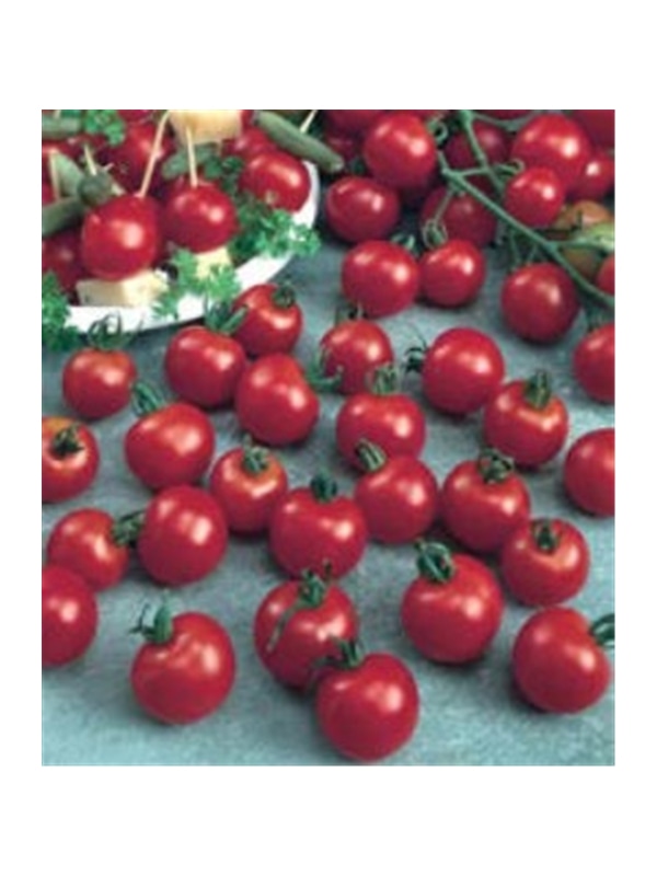 CCS TOMATE CEREJA (013189) - 089299