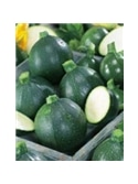 ENVA COURGETTE REDONDA ESCURAS DE PIACENZA (011827) - 089445