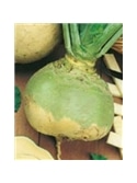 ENVA COUVE NABO RUTABAGA COLO VERDE (011037) - 089460