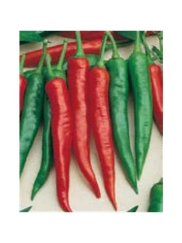 ENVA PIPENTO PICANTE CAYENNE (011811) - 089532