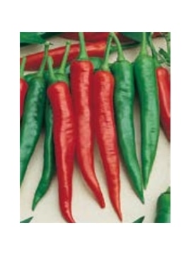 ENVA PIPENTO PICANTE CAYENNE (011811) - 089532