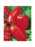 ENVA TOMATE CHICO III (011822) - 089561