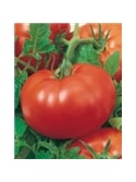 ENVA TOMATE MARAVILHA DOS MERCADOS (011372) - 089564