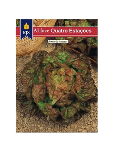 RJS ALFACE QUATRO ESTACOES (002) - 001006
