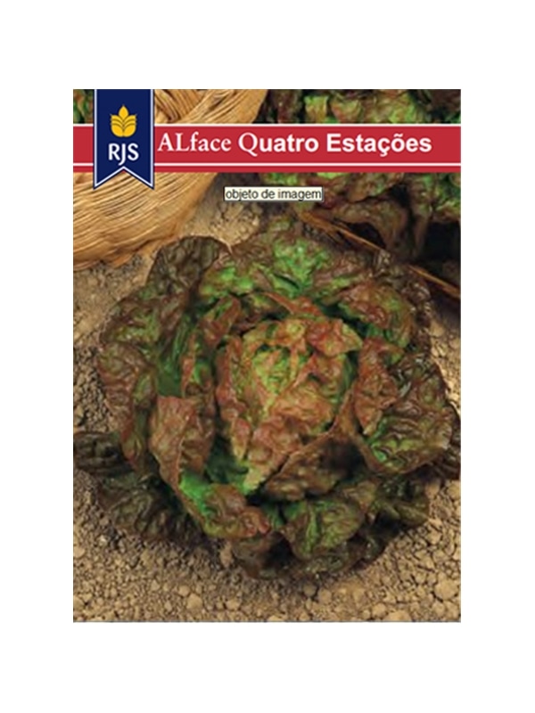 RJS ALFACE QUATRO ESTACOES (002) - 001006