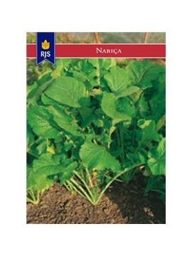 RJS NABICAS (051) - 001084