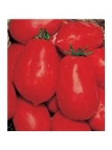 CCS TOMATE CHICO III (013199) - 089310