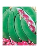 CCS FEIJAO TREPAR FEIJOCA DEL PAPA (013359) - 089331