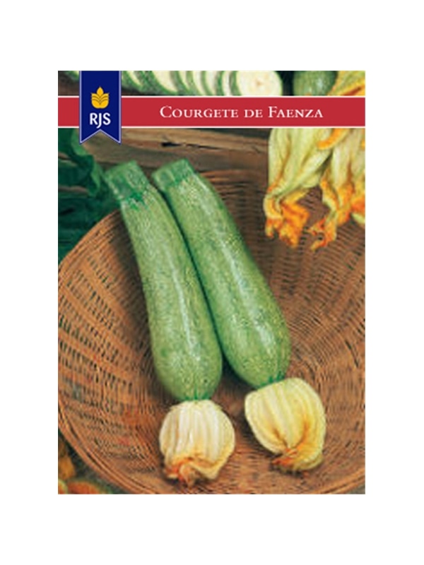 RJS COURGETES FAENZA (065) - 001033