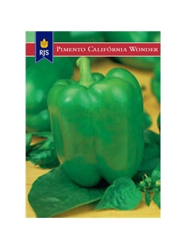 RJS PIMENTO VERDE CALIFORNIA WONDER (054) - 001090