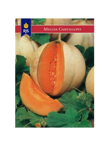 RJS MELOA CANTALUPO (069) - 001071