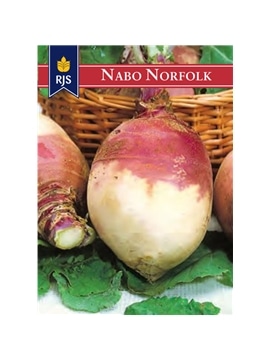 RJS NABO NORFOLK (171) - 001192