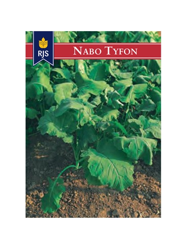 RJS NABO TYFON (140) - 001194