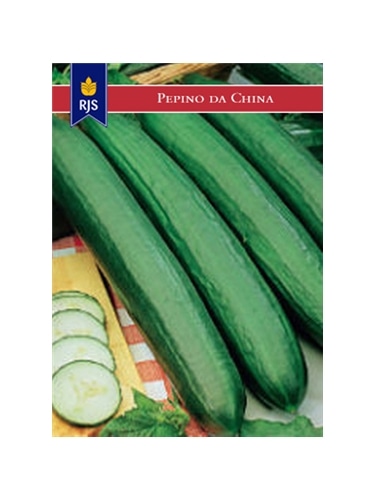 RJS PEPINO DA CHINA (083) - 001088