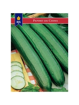 RJS PEPINO DA CHINA (083) - 001088