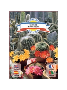 CACTUS (1627) - 00100300