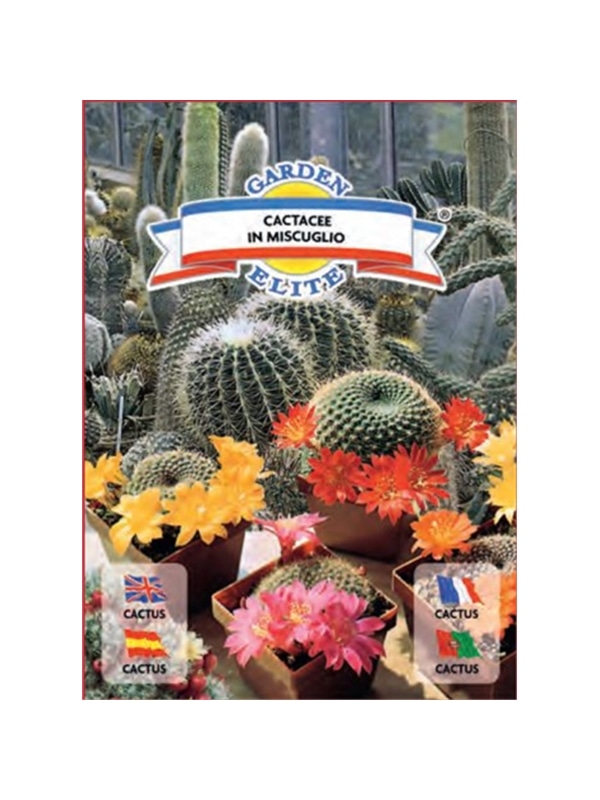 CACTUS (1627) - 00100300