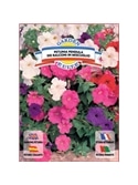 PETUNIA PENDULA (1697) - 00100367